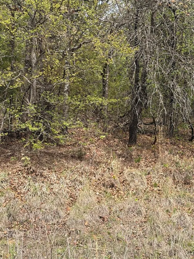 Photo 5 — 17980 S Cliff Road, Newalla, OK 74857