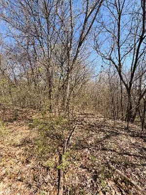 Photo 3 — 1639 E County Road, Wynnewood, OK 73098