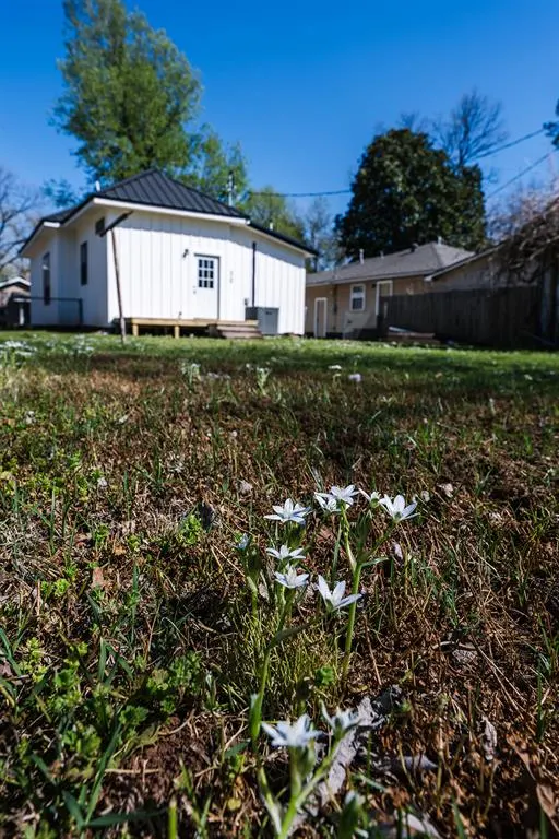 Photo 43 — 209 Chestnut Street, Pauls Valley, OK 73075