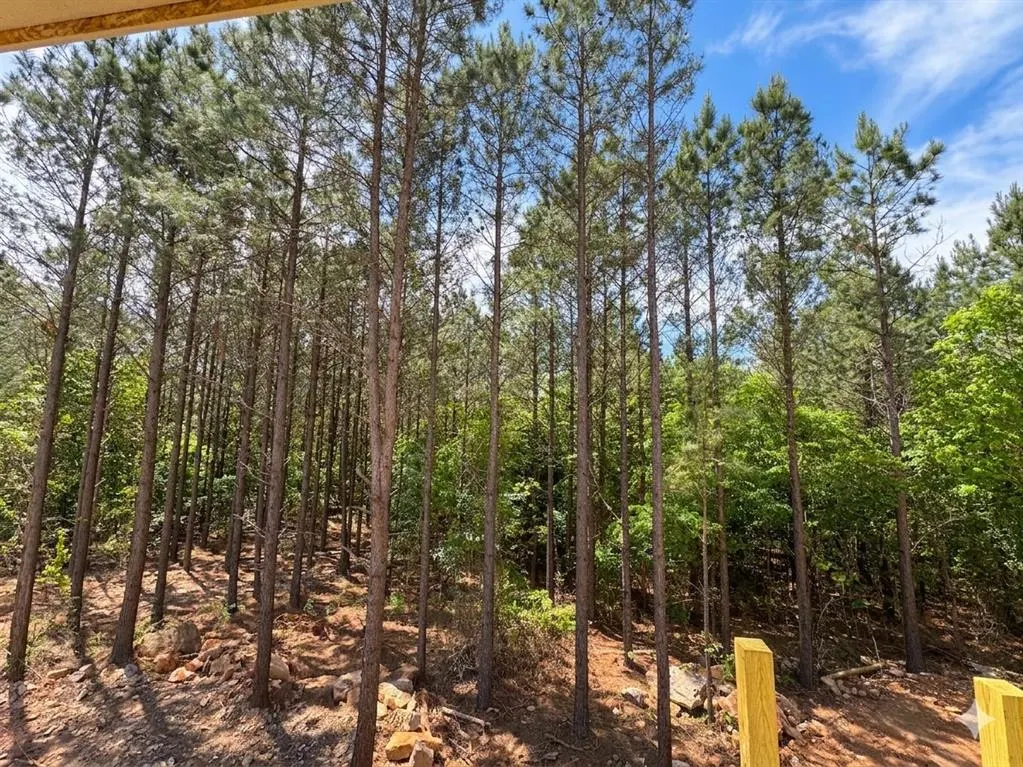 Photo 14 — 1275 Dawn View Way, Broken Bow, OK 74728