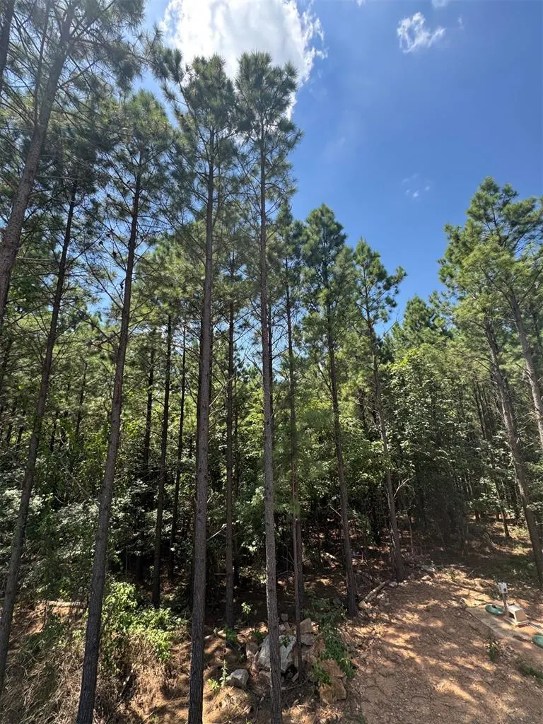 Photo 15 — 1275 Dawn View Way, Broken Bow, OK 74728