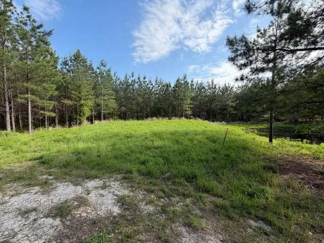 Photo 36 — 64 Pine Root Court, Broken Bow, OK 74728