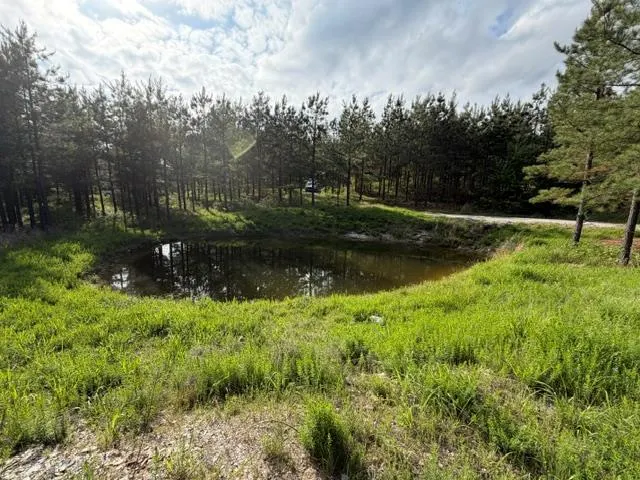 Photo 39 — 64 Pine Root Court, Broken Bow, OK 74728