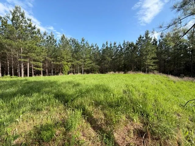 Photo 43 — 64 Pine Root Court, Broken Bow, OK 74728