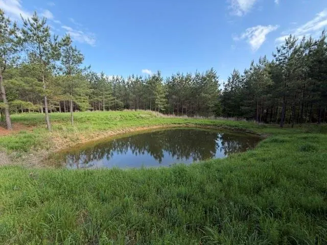 Photo 45 — 64 Pine Root Court, Broken Bow, OK 74728