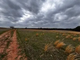Photo 6 — 0 Harrison Road, Asher, OK 74826