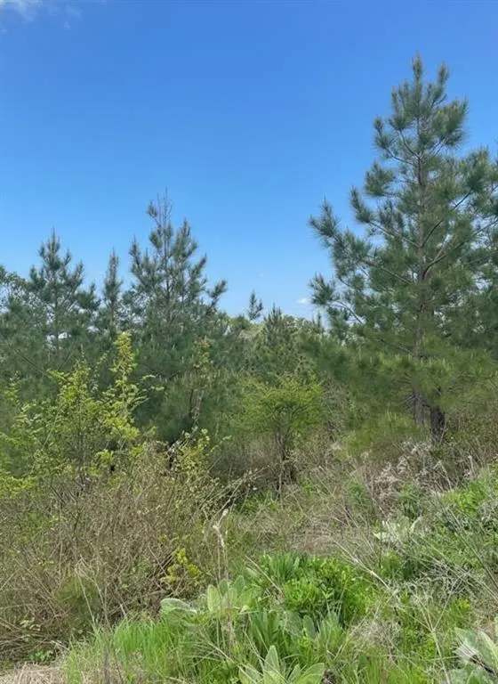 Photo 2 — 187 Sliding Hill Trail, Broken Bow, OK 74728