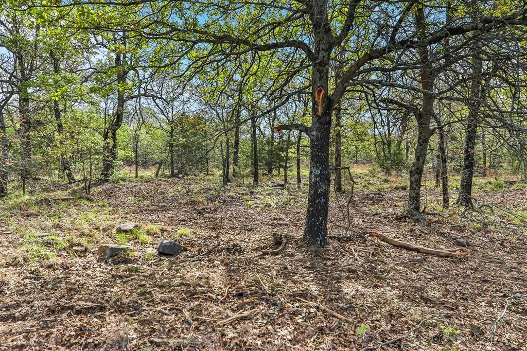 Photo 9 — 849 Dozer Mountain Rd. Road, Eufaula, OK 74432
