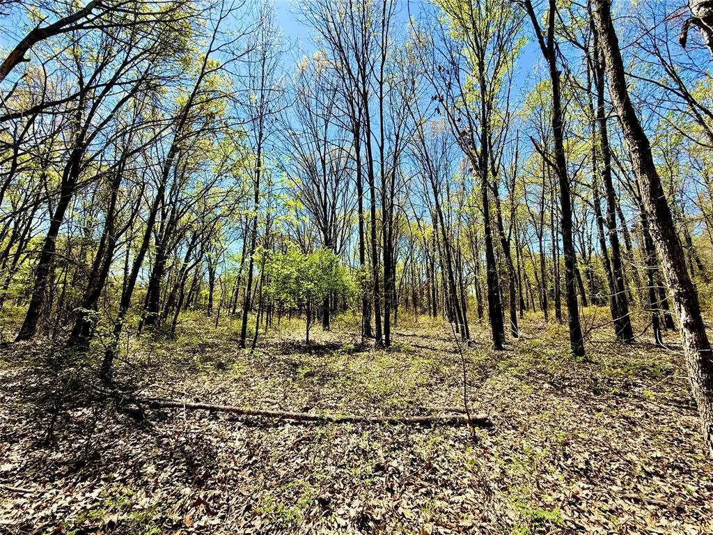 Photo 33 — 16351 Banner Road, Lexington, OK 73051