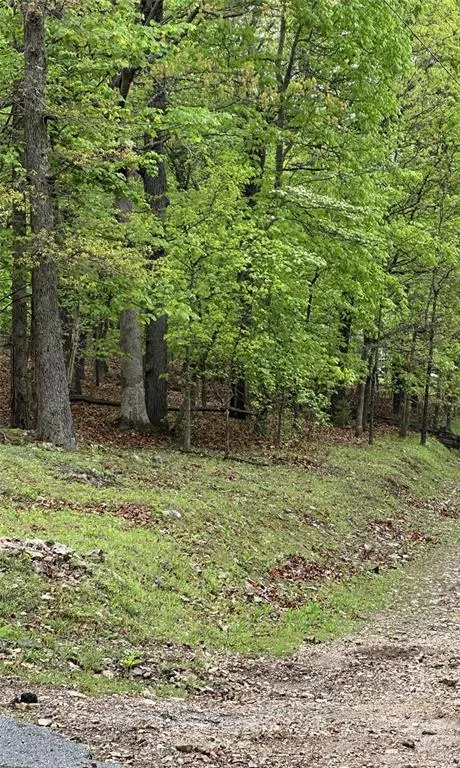 Photo 3 — Konowa Drive, Eucha, OK 74342