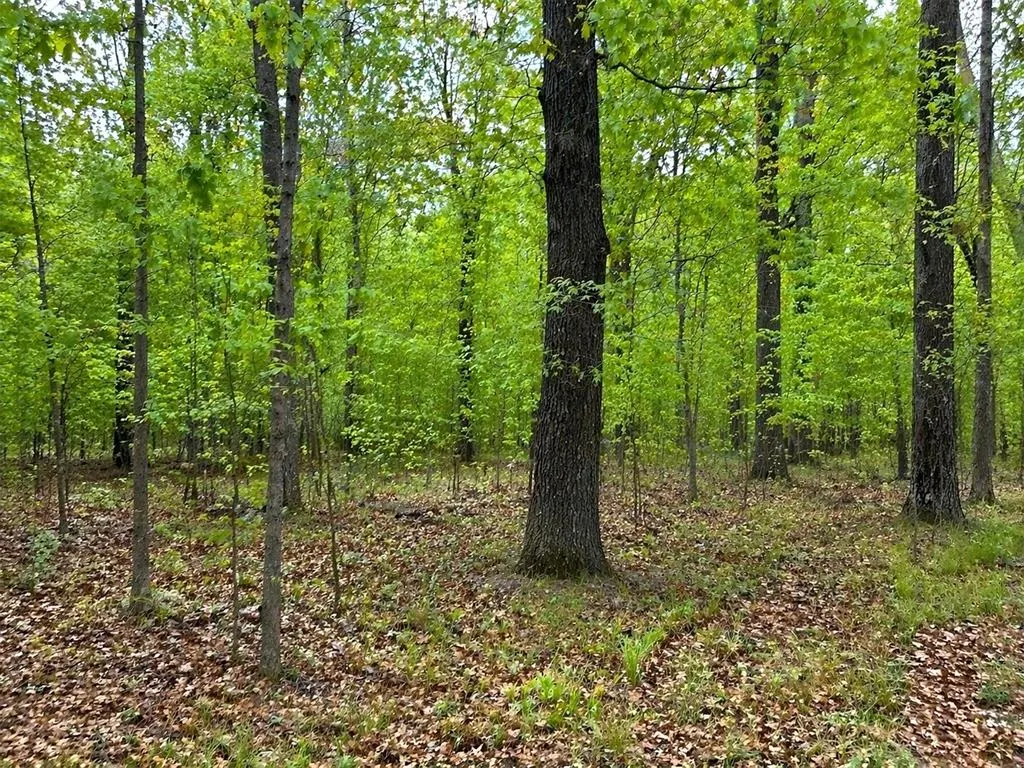 Photo 5 — Konowa Drive, Eucha, OK 74342