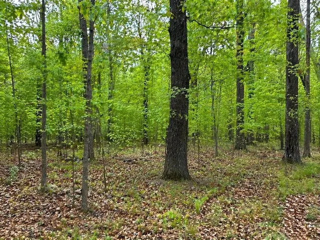 Photo 5 — Konowa Drive, Eucha, OK 74342
