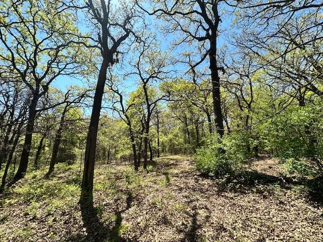 Photo 6 — 13108 Petree Lane, Jones, OK 73049