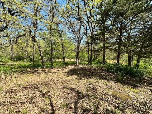 Photo 8 — 13108 Petree Lane, Jones, OK 73049
