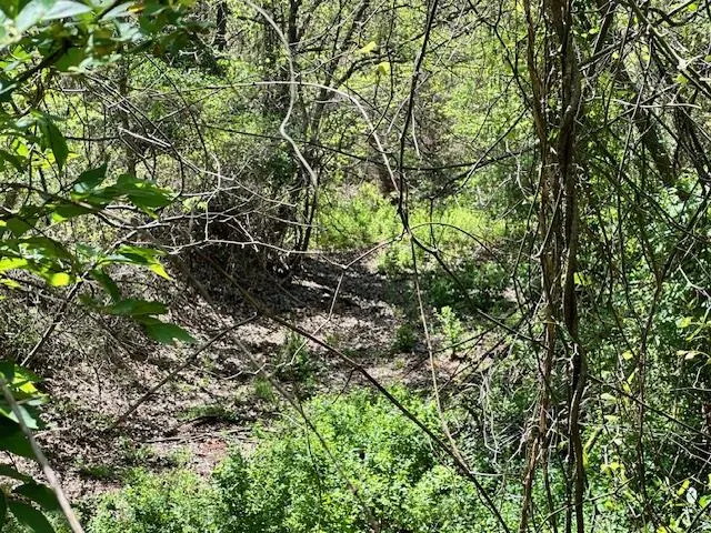 Photo 17 — 13108 Petree Lane, Jones, OK 73049