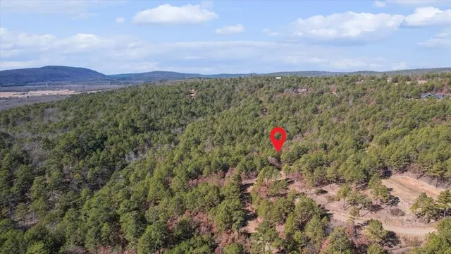 Photo 3 — 96 Saddlegap Ranch West Road, Tuskahoma, OK 74574
