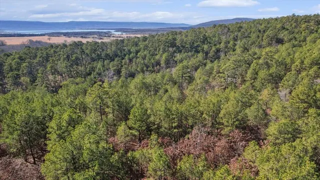 Photo 8 — 96 Saddlegap Ranch West Road, Tuskahoma, OK 74574