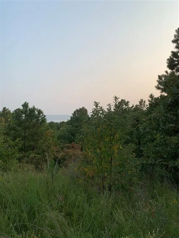 Photo 18 — 96 Saddlegap Ranch West Road, Tuskahoma, OK 74574