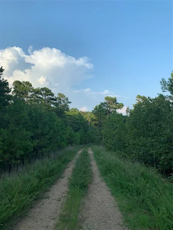 Photo 20 — 96 Saddlegap Ranch West Road, Tuskahoma, OK 74574