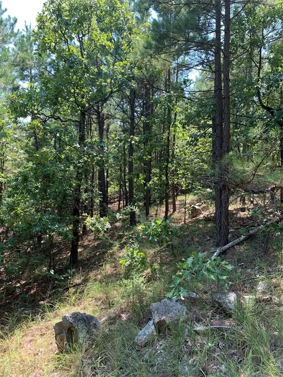 Photo 21 — 96 Saddlegap Ranch West Road, Tuskahoma, OK 74574