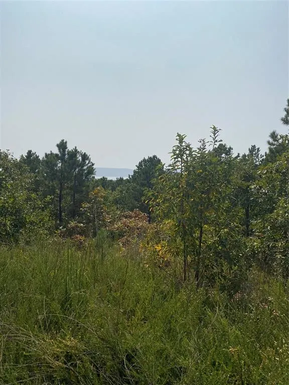 Photo 23 — 96 Saddlegap Ranch West Road, Tuskahoma, OK 74574