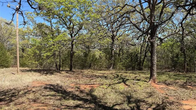 Photo 6 — 25591 Blackjack Lane, Macomb, OK 74852