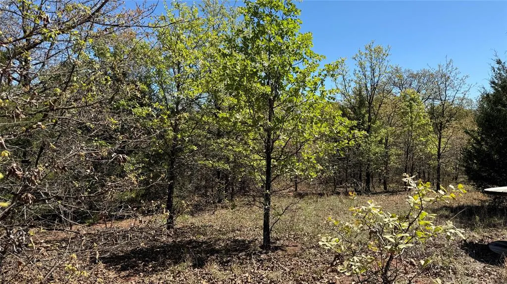 Photo 28 — 25591 Blackjack Lane, Macomb, OK 74852