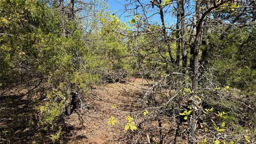 Photo 29 — 25591 Blackjack Lane, Macomb, OK 74852
