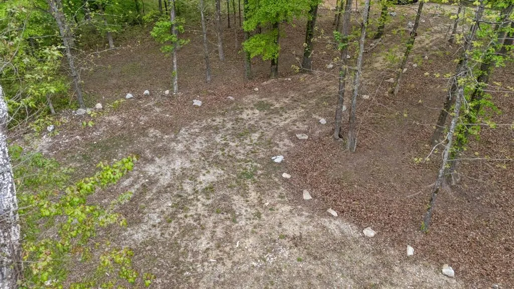 Photo 9 — 341 White Fox Lane, Broken Bow, OK 74728