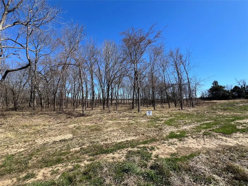 Photo 4 — NE Tortuga Lane, Kingston, OK 73439