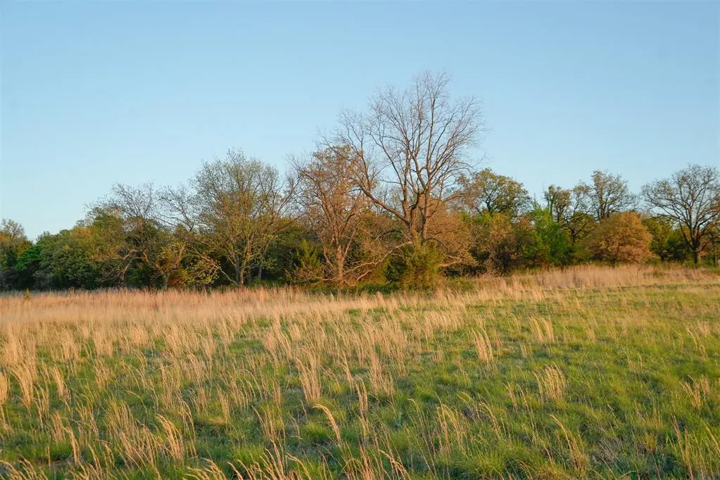 Photo 5 — 19543 NE 164th Street, Luther, OK 73054