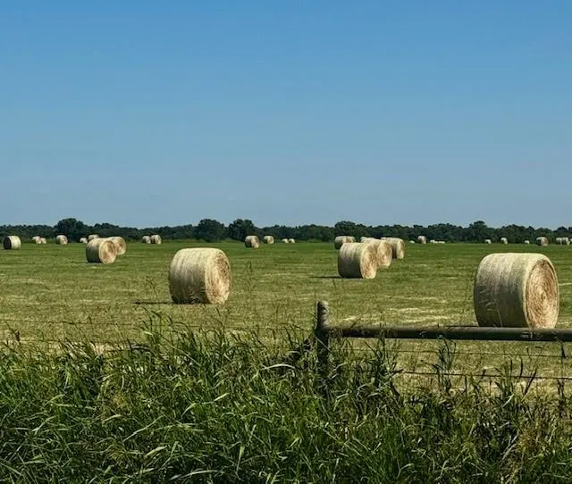 Photo 6 — State Highway 19 Highway, Stratford, OK 74872
