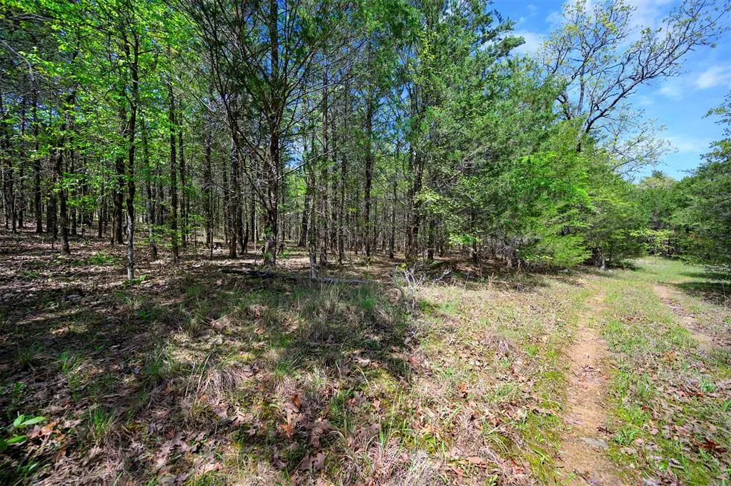 Photo 46 — 443175 E 1970 Road, Ringold, OK 74754