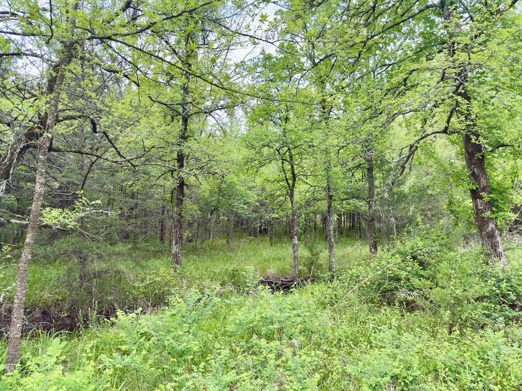 Photo 40 — 812 Valliant Bypass Road, Valliant, OK 74764