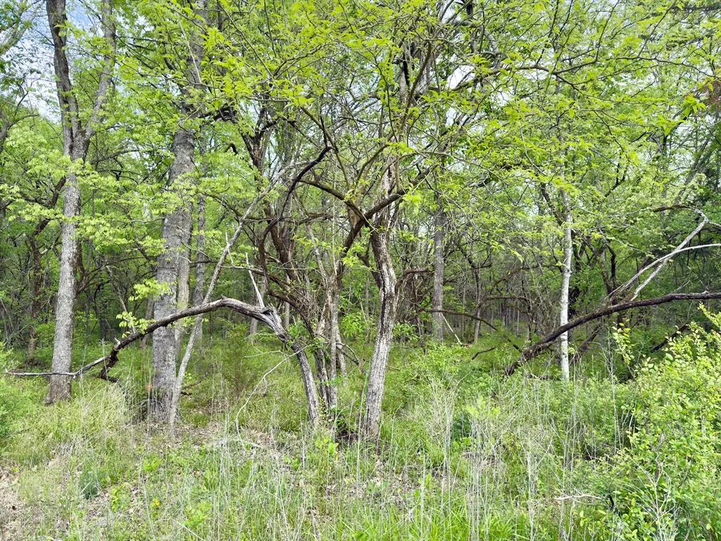 Photo 42 — 812 Valliant Bypass Road, Valliant, OK 74764