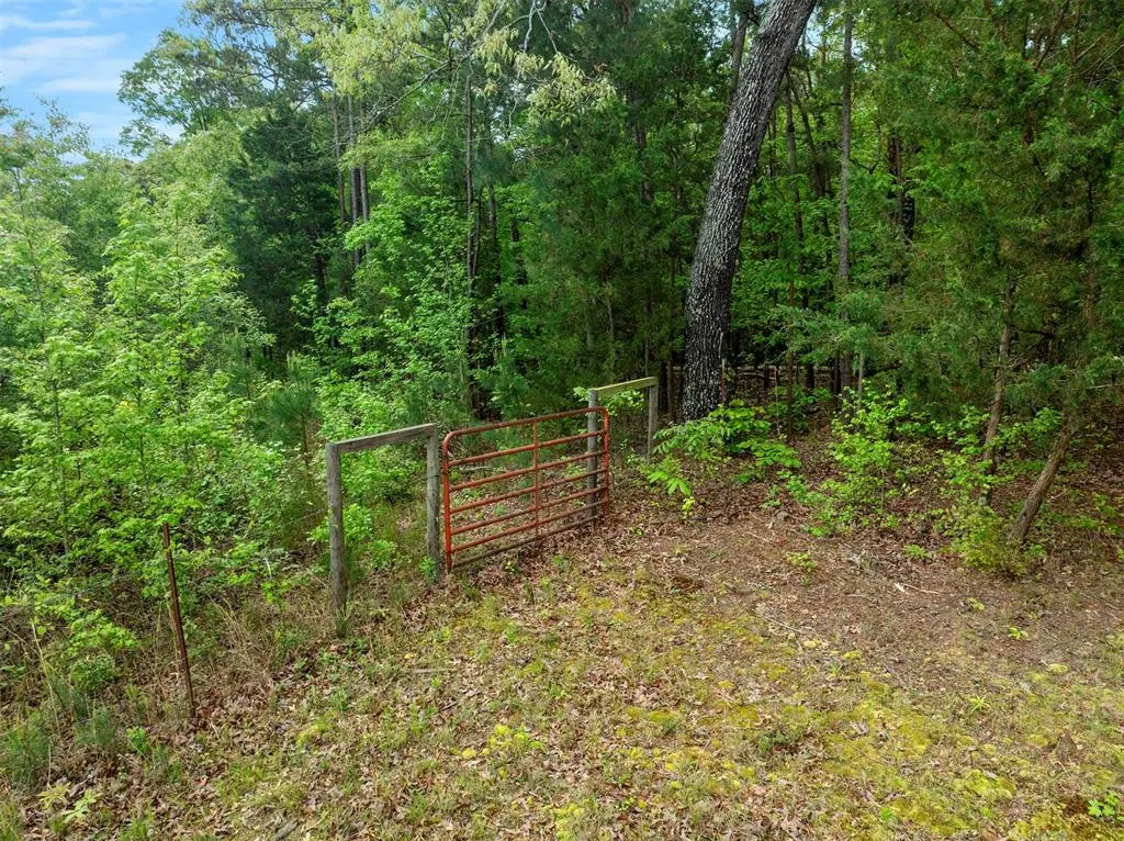 Photo 11 — 728 Whipporwill Road, Garvin, OK 74736