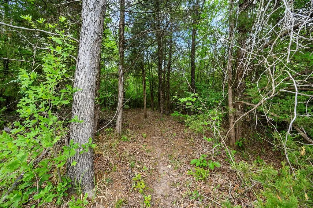 Photo 41 — 728 Whipporwill Road, Garvin, OK 74736