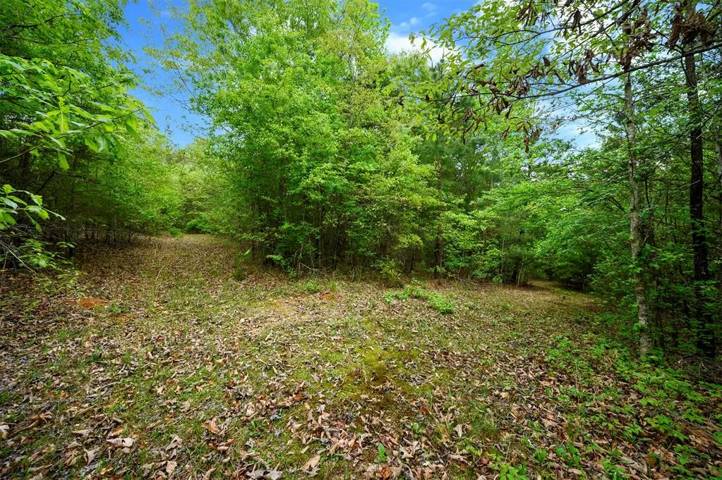 Photo 43 — 728 Whipporwill Road, Garvin, OK 74736