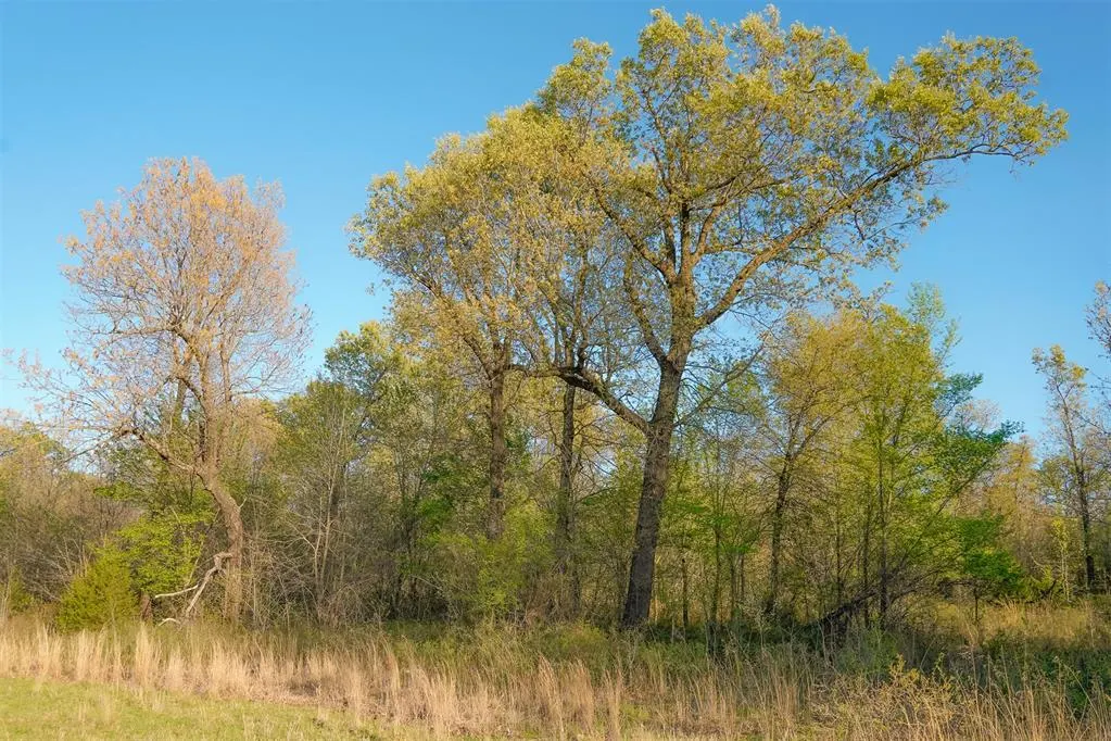 Photo 11 — 19545 NE 164th Street, Luther, OK 73054