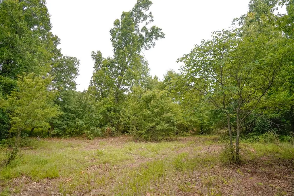Photo 5 — 19545 NE 164th Street, Luther, OK 73054