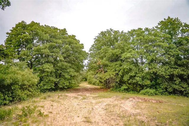 Photo 7 — 19545 NE 164th Street, Luther, OK 73054