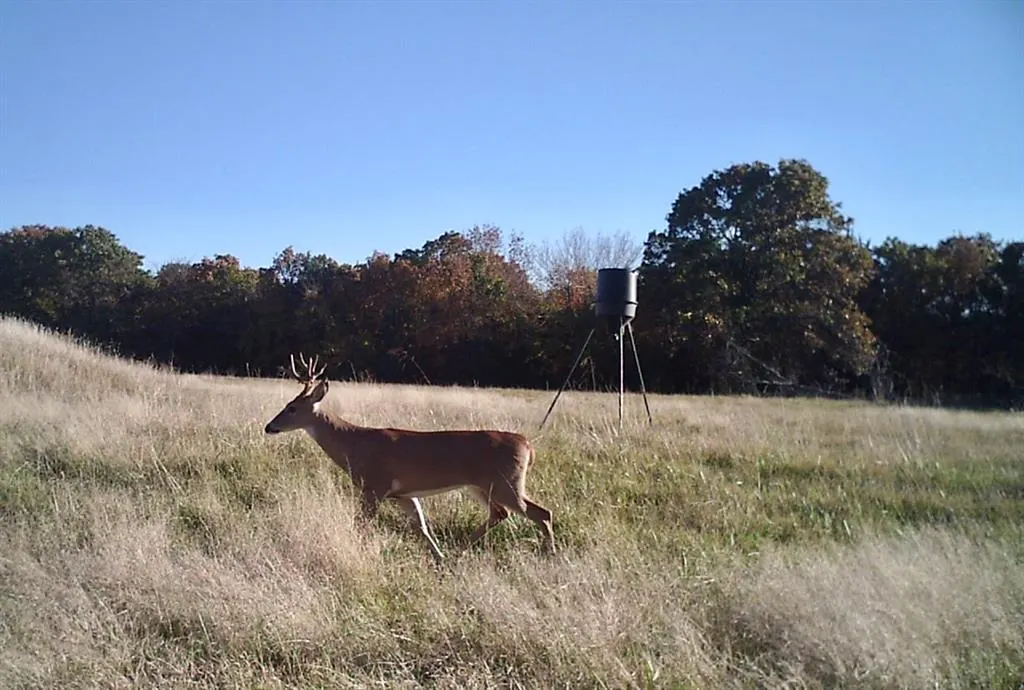 Photo 50 — 3461 N 3735 Road, Holdenville, OK 74848
