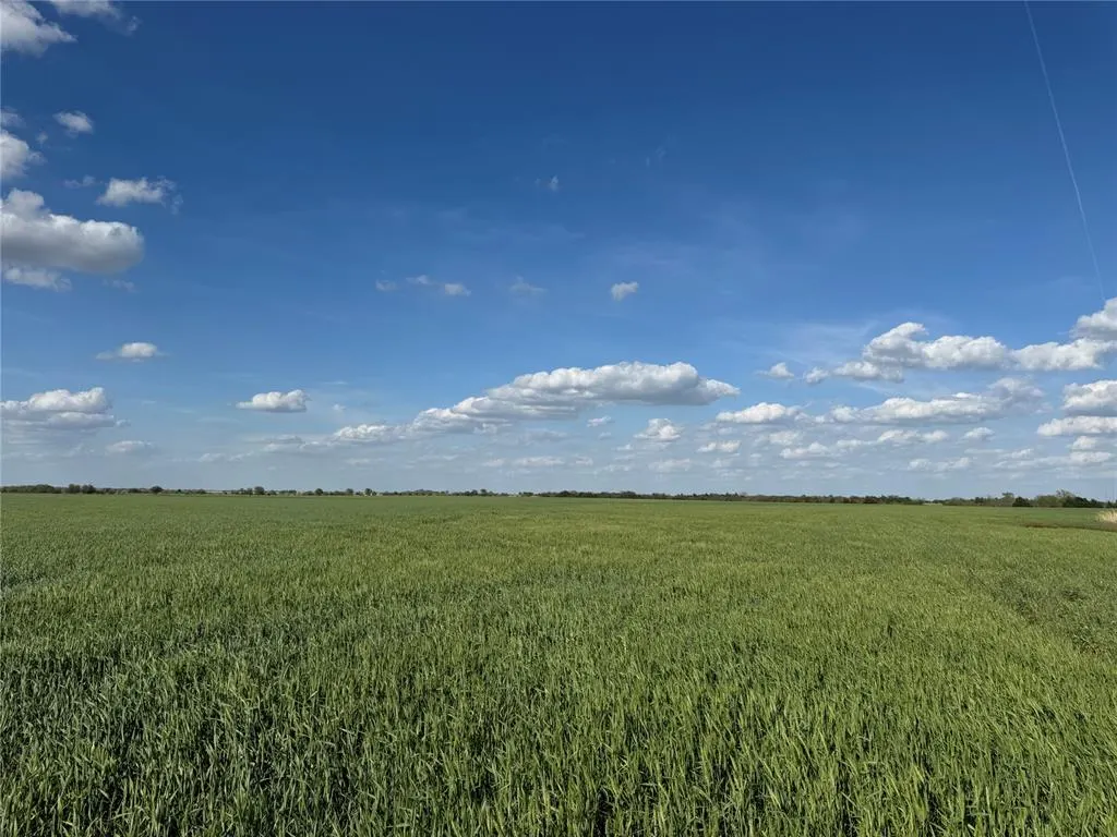Photo 11 — E Carrier Road, Garber, OK 73738
