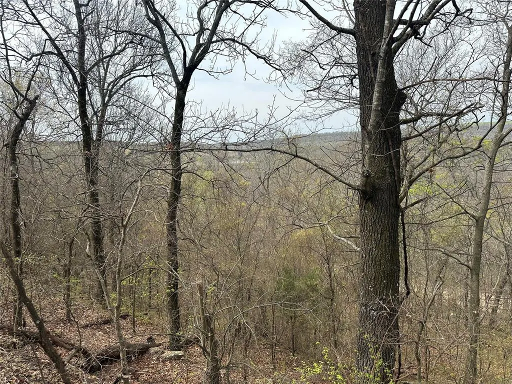 Photo 2 — 000 W Big Rock Road Lot #7, Park Hill, OK 74451