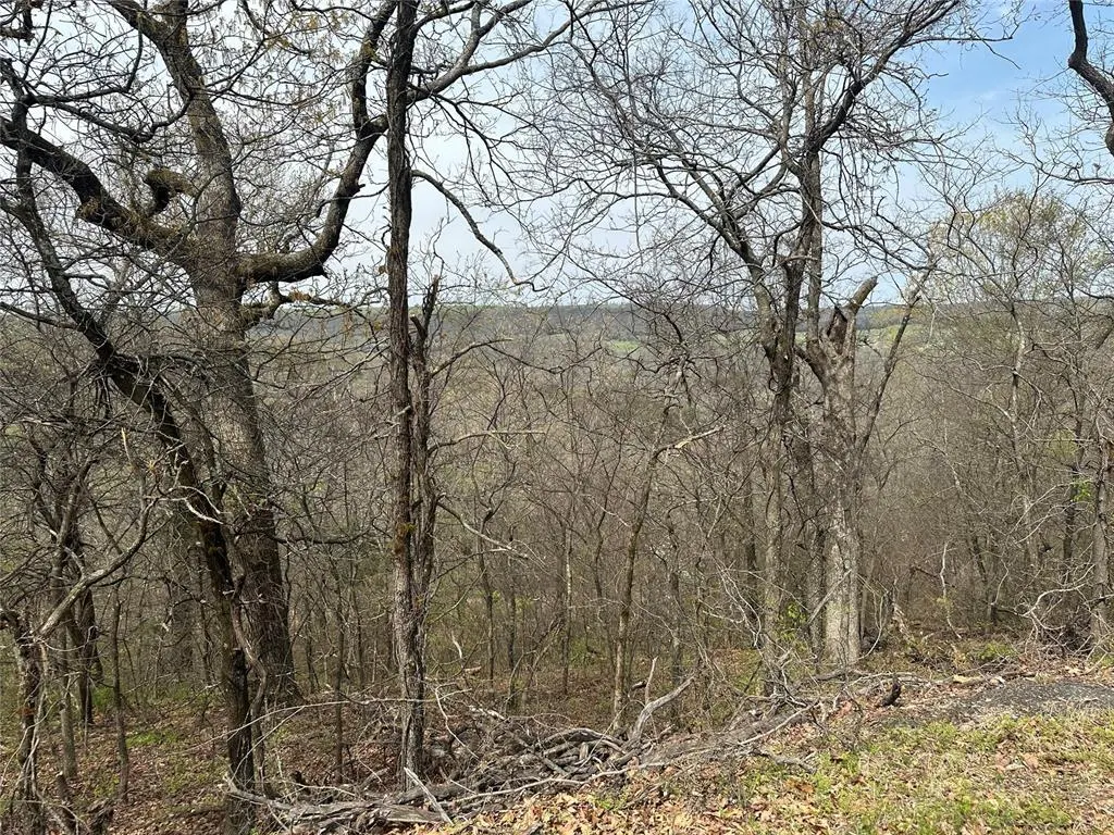 Photo 3 — 000 W Big Rock Road Lot #7, Park Hill, OK 74451