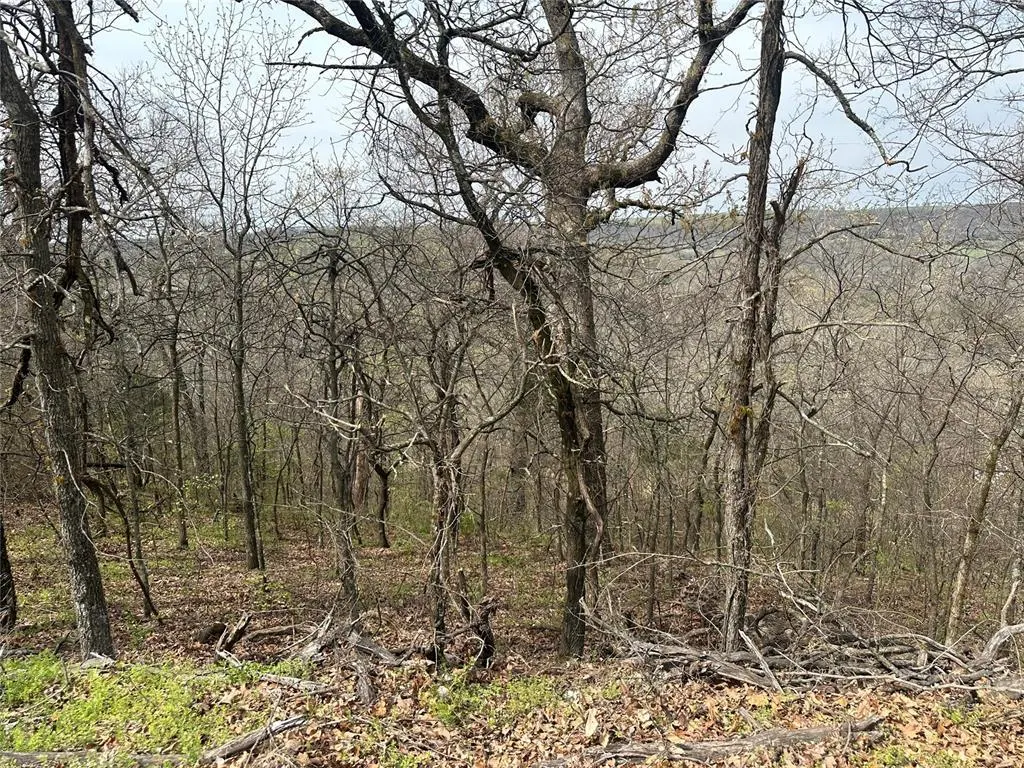 Photo 4 — 000 W Big Rock Road Lot #7, Park Hill, OK 74451