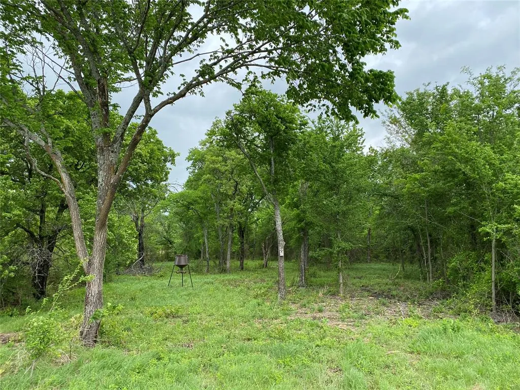 Photo 27 — D390 Road, Dustin, OK 74839