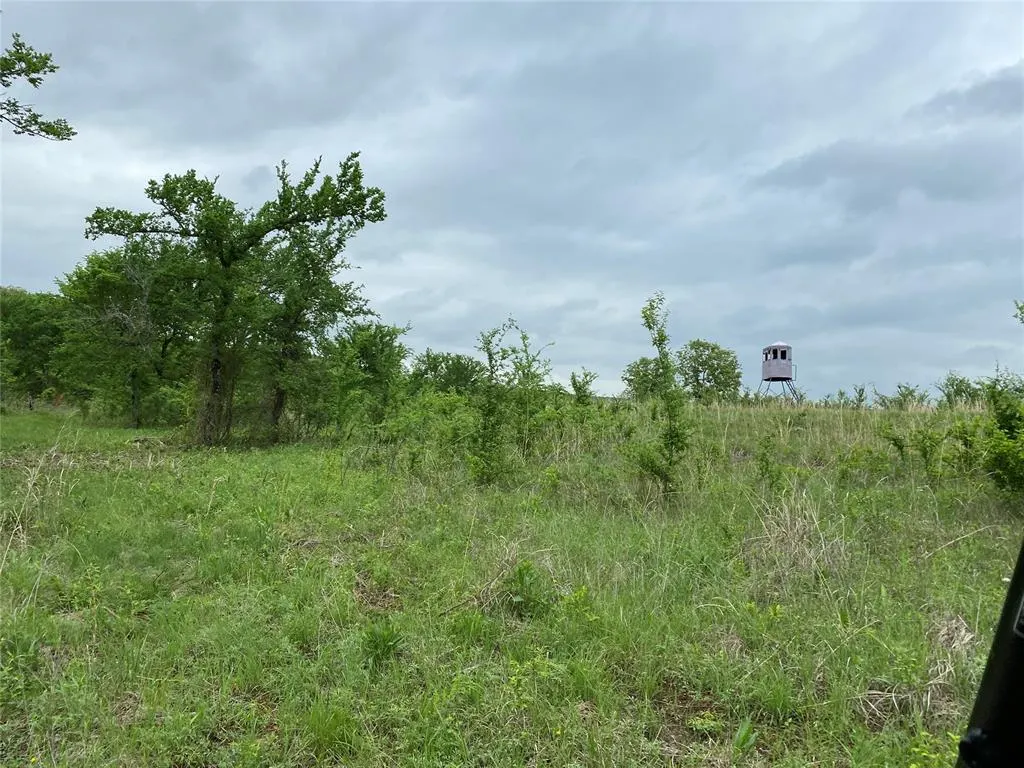 Photo 29 — D390 Road, Dustin, OK 74839