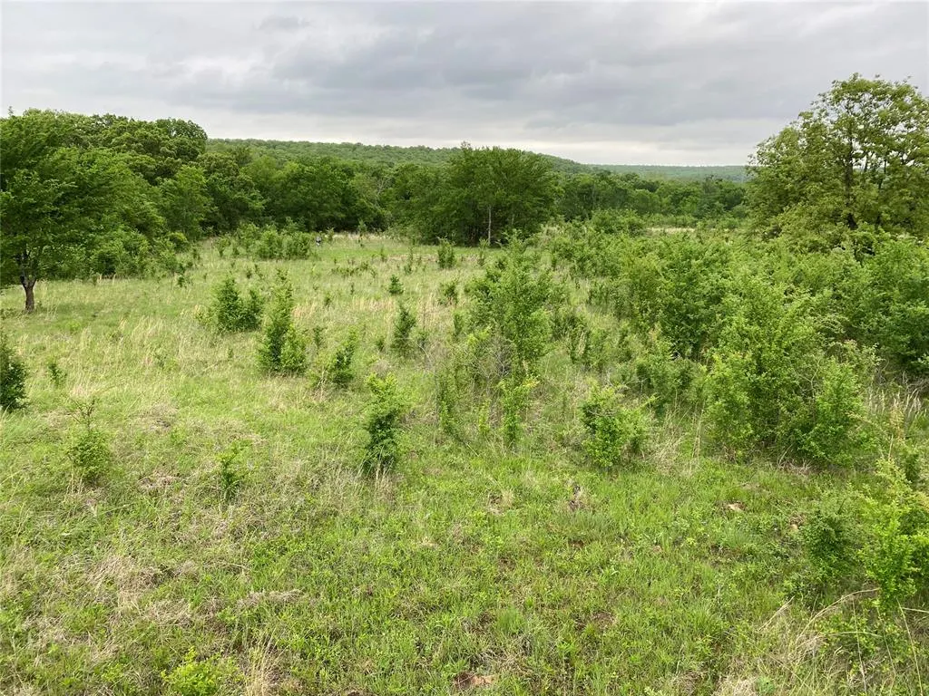 Photo 30 — D390 Road, Dustin, OK 74839