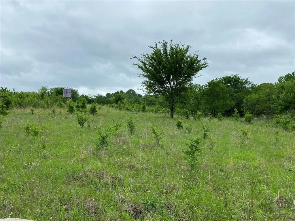 Photo 31 — D390 Road, Dustin, OK 74839